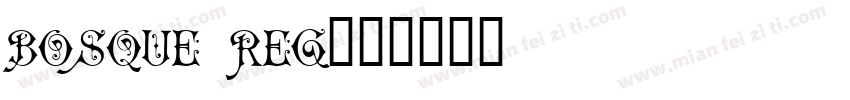 Bosque Reg字体转换